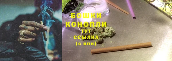 ГАЛЛЮЦИНОГЕННЫЕ ГРИБЫ Аркадак
