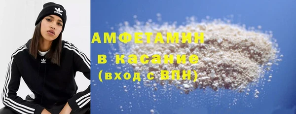 ГАЛЛЮЦИНОГЕННЫЕ ГРИБЫ Аркадак