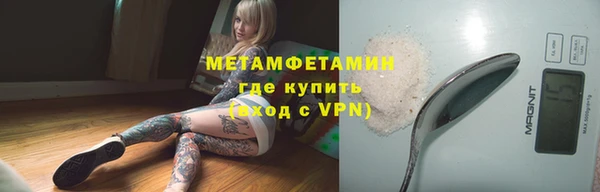 ГАЛЛЮЦИНОГЕННЫЕ ГРИБЫ Аркадак